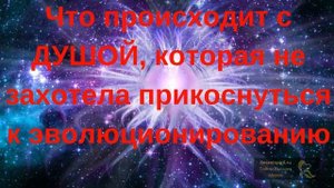 Чем отличается душа от духа