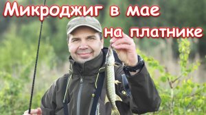 Бодрый микроджиг на платнике в конце мая