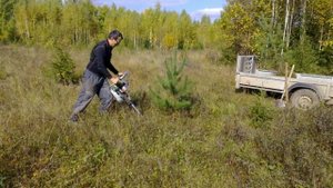 приспособление для пересадки деревьев