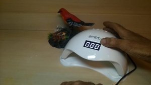 Обзор светодиодной ультрафиолетовой лампы для сушки лаков для ногтей с aliexpress.