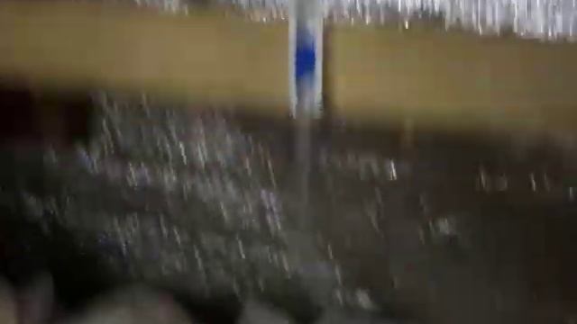 Грибница дома, не большой бизнес по выращиванию грибов в домашних условиях. Хобби + доход!