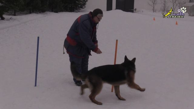 Тригер 32, обучение отдельной внешней восьмёрке смотреть онлайн