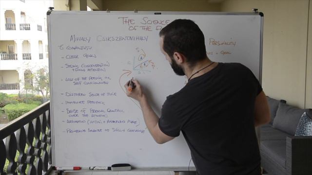 The Psychology of Flow by Mihaly Csikszentmihalyi (The Science of Flow Part 5/7)