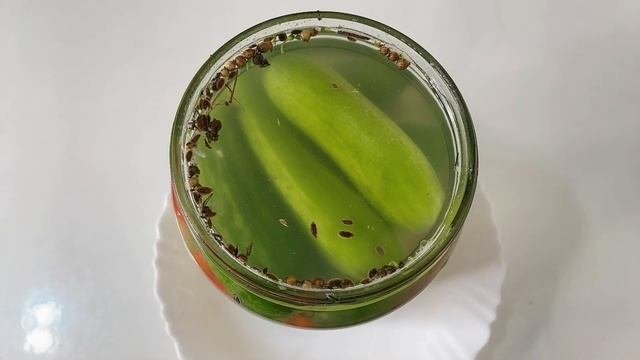 Овощи получаются как бочковые.