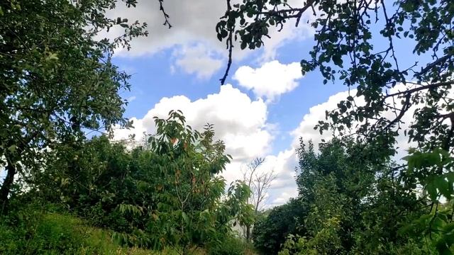 Благие стремления, которые губят смотреть онлайн