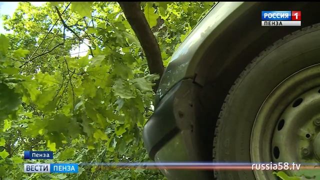 На улице Лермонотова в Пензе на припаркованный автомобиль упало дерево смотреть онлайн
