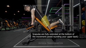 Chest Supported Dumbbell Shrugs ( Шраги с гантелями с упором на скамью )