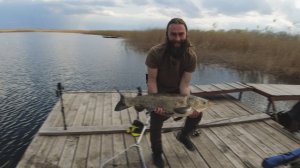 ТЕЗИСЫ МОИХ РЫБАЛОК. ТОЛСТОЛОБЫ ДЕСЯТКИ, ЩУКИ ВОСЬМЕРКИ И НЕ ТОЛЬКО