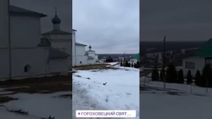 Лучшие сторис Ирина Пегова (@pegovairina) подборка ? от Undelete News за 04.03.2020