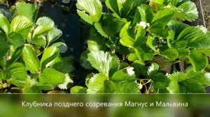 Последствия после ливневых дождей...