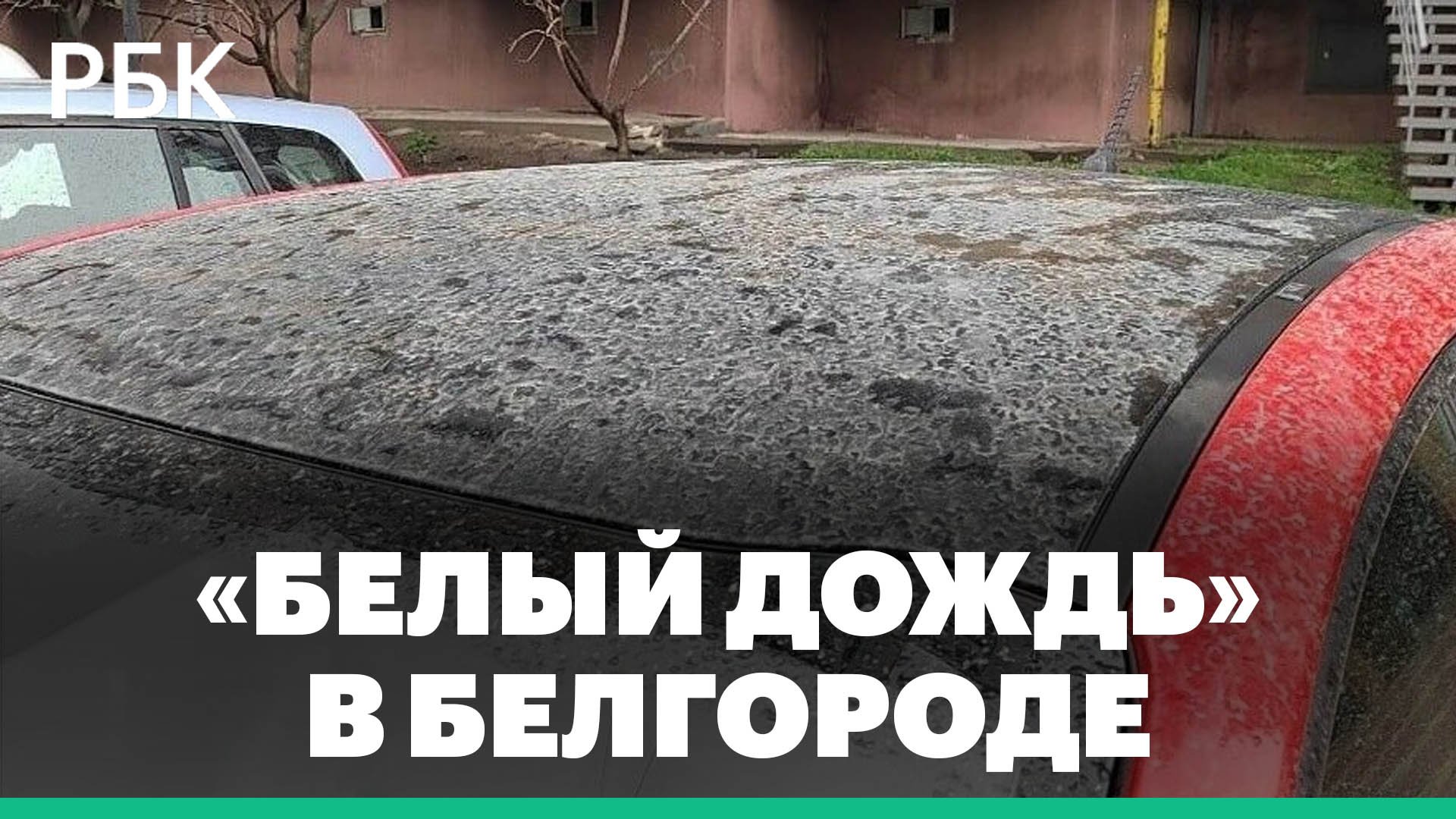 В Белгороде и области прошел «белый дождь»