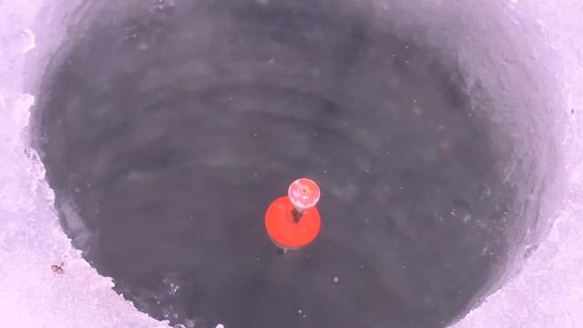 рыбалка на водохранилище на поплавок в палатке смотреть онлайн