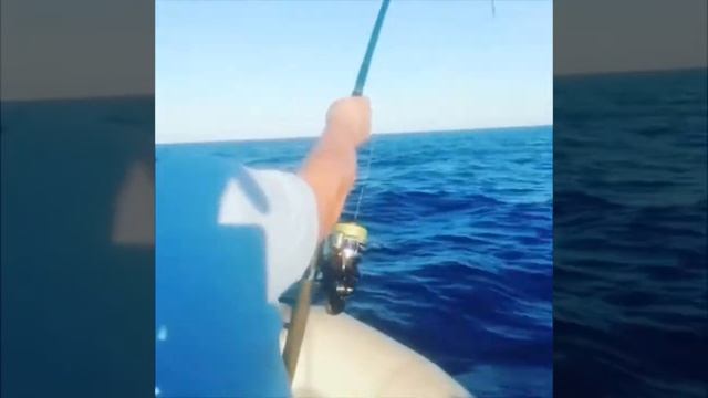 Atún a popping captura y suelta смотреть онлайн