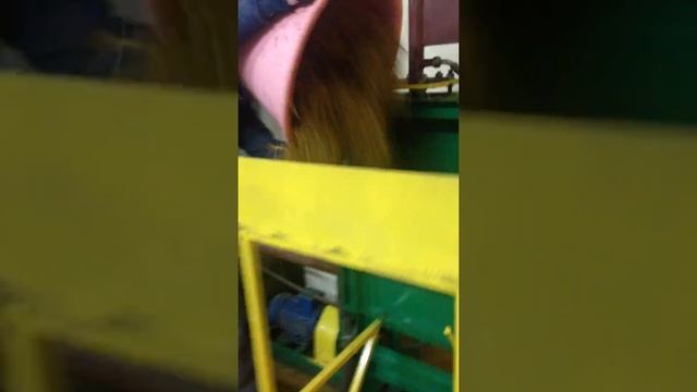 IMG 9088 смотреть онлайн