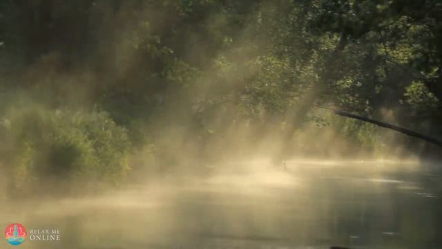 Pure Soothing Relaxation Music, Relaxing Water Sounds, Sleep Relax Meditation Music #135 смотреть онлайн