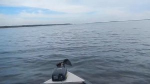 Финвал 475 и мерк 60