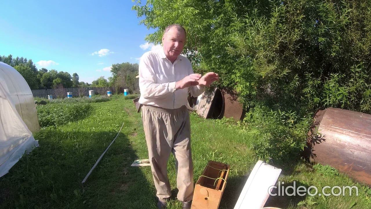 Приёмы снятия роя. смотреть онлайн