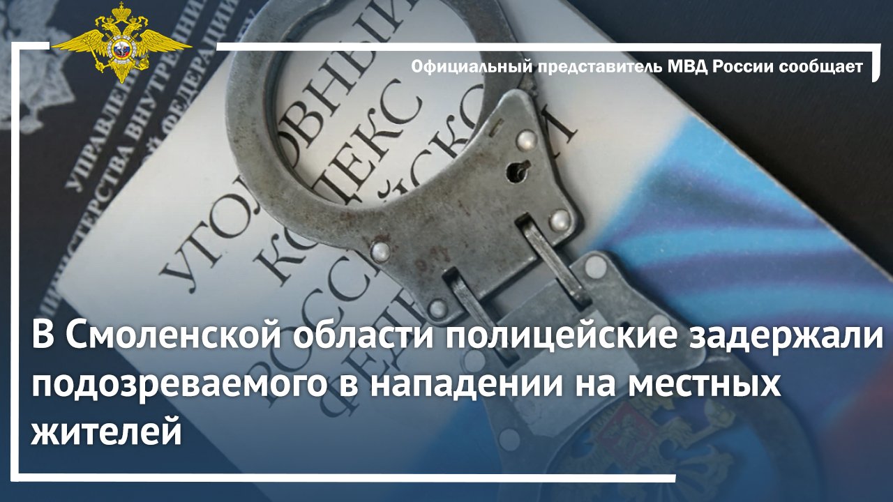 В Смоленской области полицейские задержали подозреваемого в нападении на местных жителей