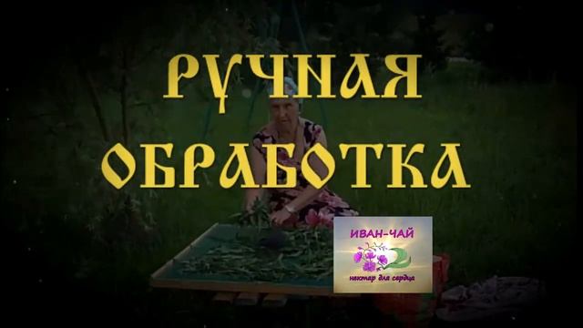 Иван-чай - нектар для сердца и души