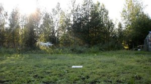 Квадрокоптер Syma X8C. Чё это вообще такое?