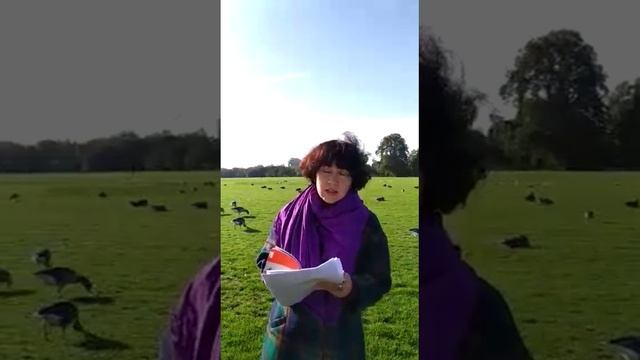 СТиХИ читают. Андрей Пермяков, Наталья Ключарёва, Алиса Орлова смотреть онлайн