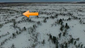 Патрулирование квадрокоптером DJI Phantom 3 Professional