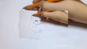 Как нарисовать шиншиллу ?