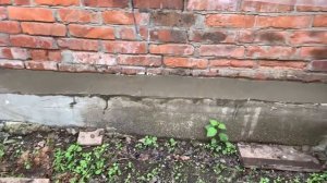 Купили хату на Кубани?продолжаем спил?наш Первомай?♀️забытое видео?