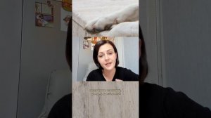 Разница между кинологом и зоопсихологом