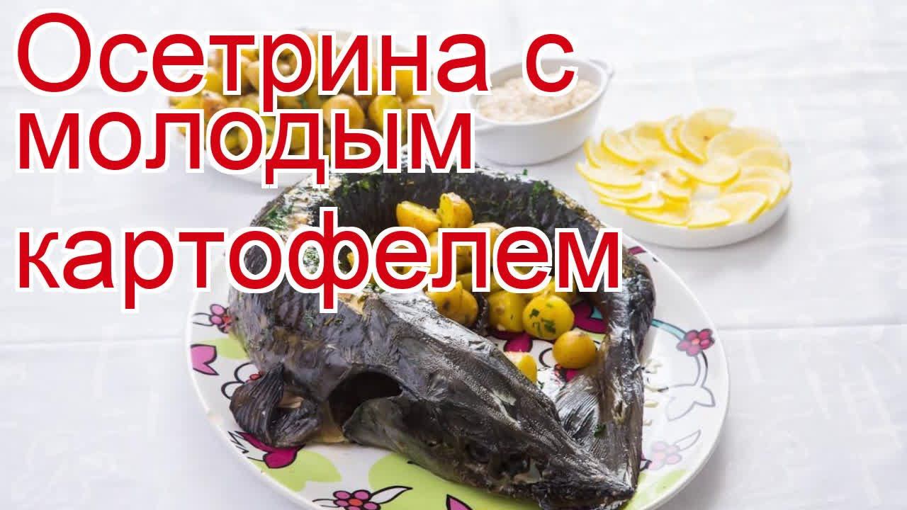 Рецепты из Осетра - как приготовить осетра пошаговый рецепт - Осетрина с молодым картофелем