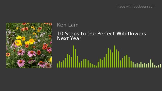 10 Steps to the Perfect Wildflowers Next Year смотреть онлайн