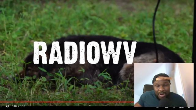 Oliver Anthony Rich Men North of Richmond Reaction Video смотреть онлайн