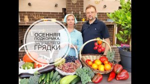 Осенние подкормки сада. Заправляем грядки. Дачные сезоны с Мариной Рыкалиной