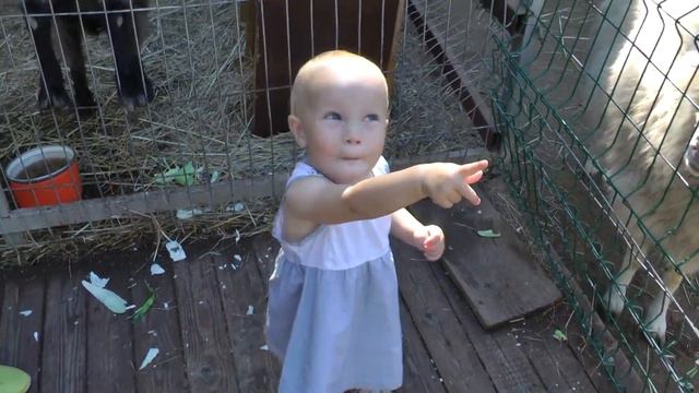 Анюта кормит животных смотреть онлайн