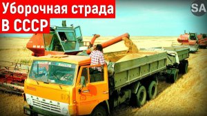 Уборочная страда в СССР. Ностальгический выпуск №1