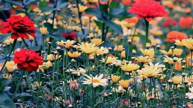 Гигантский скачок вперед для человечества-ченнелинг смотреть онлайн