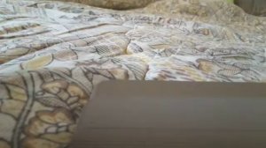 поводок-шлейка для хомяка (крысы) своими руками.