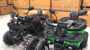 Квадроцикл  Grizzly Aerox 125