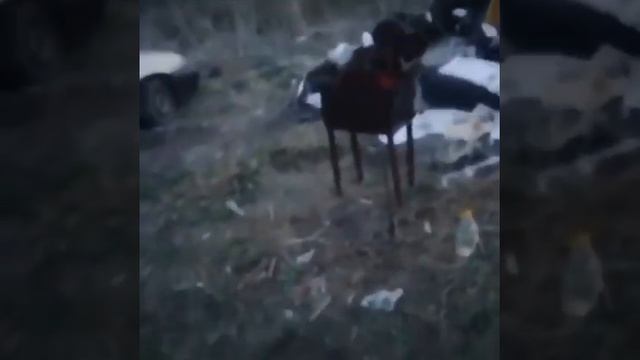 Слюной давись смотреть онлайн