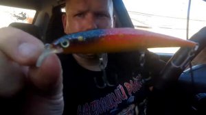 Воблеры Taiga Lures и Reef Runner