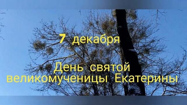 7 декабря. День памяти святой великомученицы Екатерины. Катерина Санница, Катерина Женодавица.