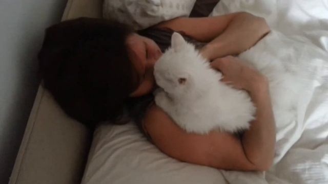 Кот высасывает глаз смотреть онлайн