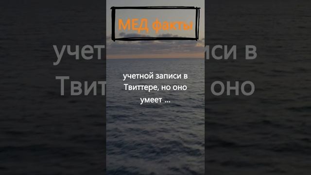 Что умеет ваше сердце? смотреть онлайн