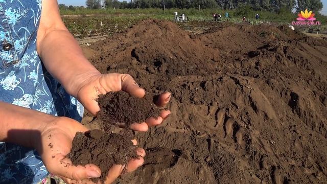 Подготовка почвы к посадке. Сентябрь 2018 смотреть онлайн