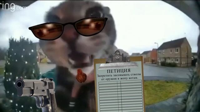 Кот мяукает в камеру, но это Postal 2. Part 1 смотреть онлайн