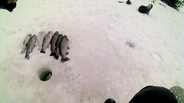 Рыбалке в "Усадьбе Соколово". 24.02.19 смотреть онлайн