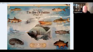 Евангельские истории в иллюстрациях с отцом Ростиславом, 2 октября 2020г