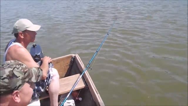 троллинг на дону смотреть онлайн