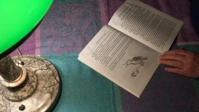 «Говорящий скворец», «И рыбок можно приручить» читаем детям. смотреть онлайн