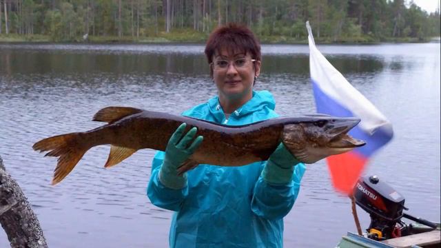 Наша Карелия смотреть онлайн